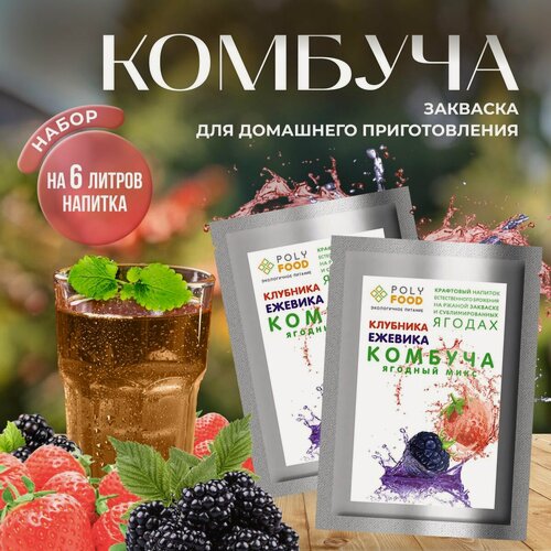 Изображение товара Комбуча, сухая закваска для ягодного кваса PolyFood, клубника-ежевика