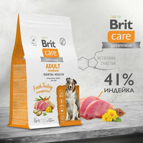 BRIT CARE, Сухой корм с индейкой д/взр. соб. ср. пород "Dog Adult M Dental Health", 3 кг
