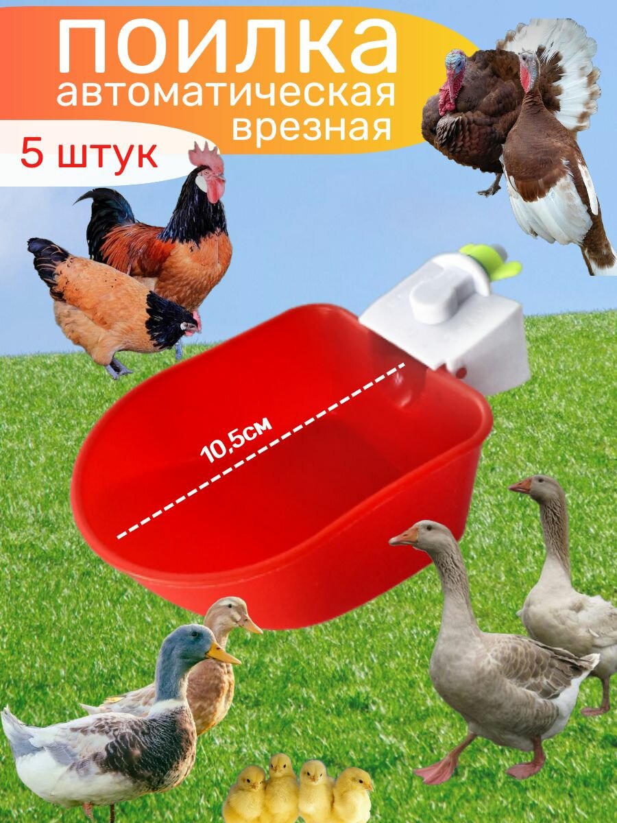 Поилка для кур чашечная 10.5см