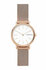 Наручные часы SKAGEN Mesh