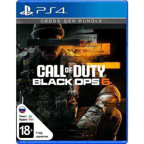 Игра Call of Duty Black Ops 6 PS4 5990₽