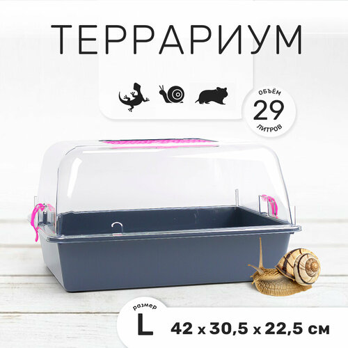 Террариум-клетка ZOOSET ДЮНА для улиток и мелких грызунов, 42х30,5х22,5 см, серый/сиреневый (прозрачная крышка)