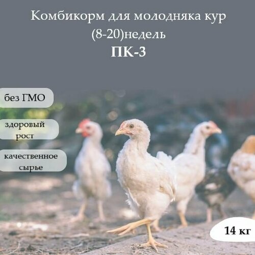 Полнорационный комбикорм для с/х животных и птиц. ПК-3 для молодняка кур(8-20) недель.