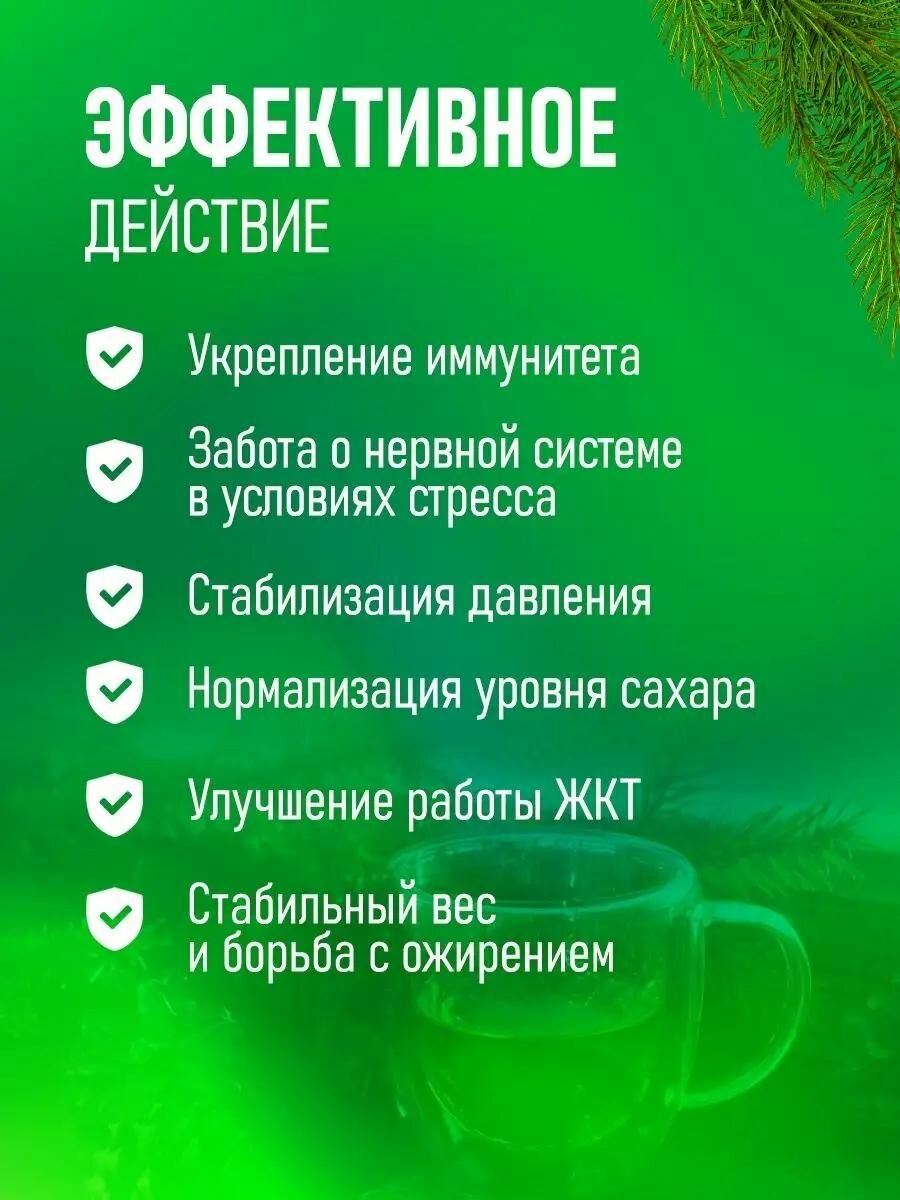 Картинки Хвойный экстракт для повышения иммунитета и оздоровления Хвойница