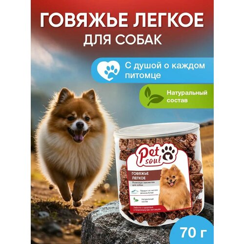 Лакомства для собак премиум, Легкое для собак, 70 г