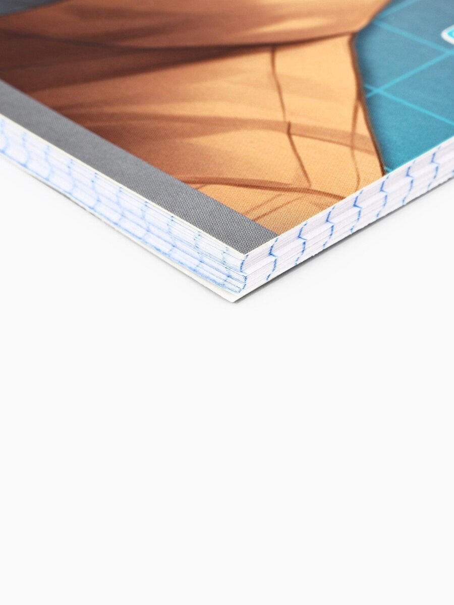 Тетрадь в клетку 48 л А5 на спирали «Аниме. Фразы» цвет микс 1 шт