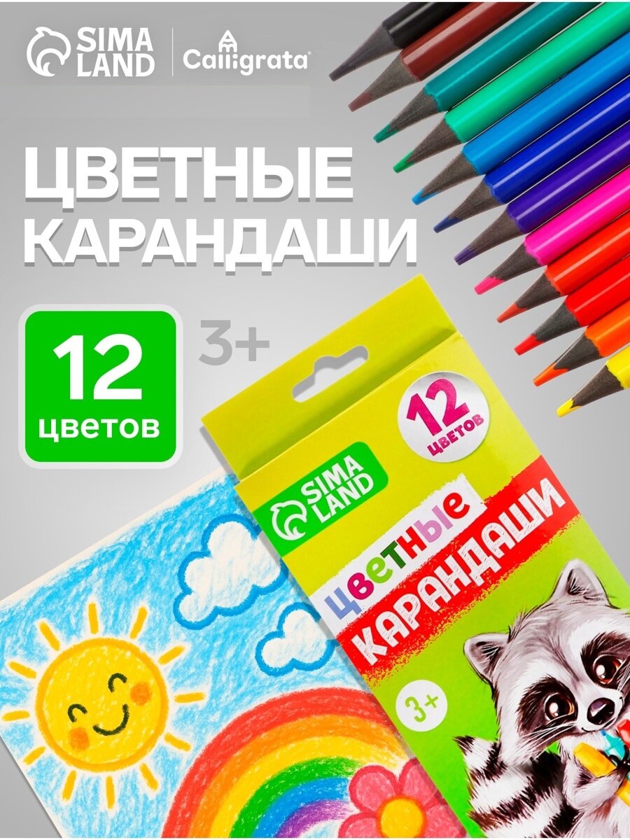 Карандаши цветные заточенные 12 цветов в картонной коробке