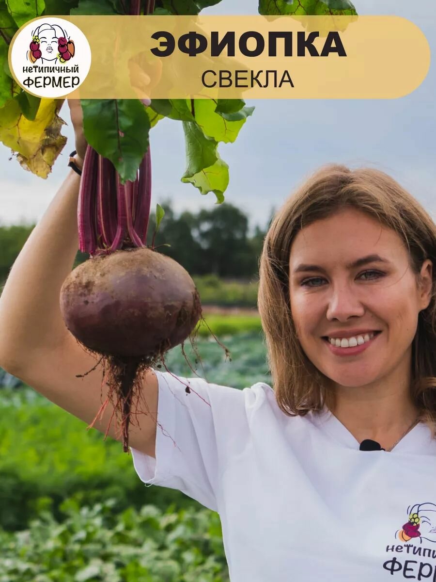 Семена свеклы Нетипичный фермер 