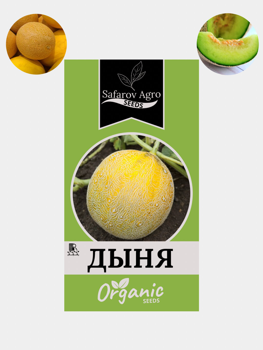 Дыня – это не только вкусный и ароматный фрукт, но и источник множества полезных веществ. Она