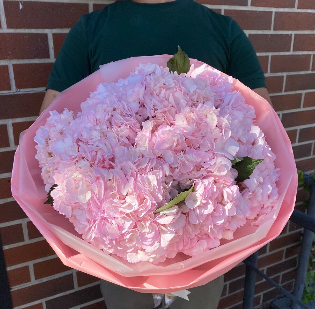 Букет из 9 нежно‑розовых гортензий в пастельной упаковке — пышный большой свежий