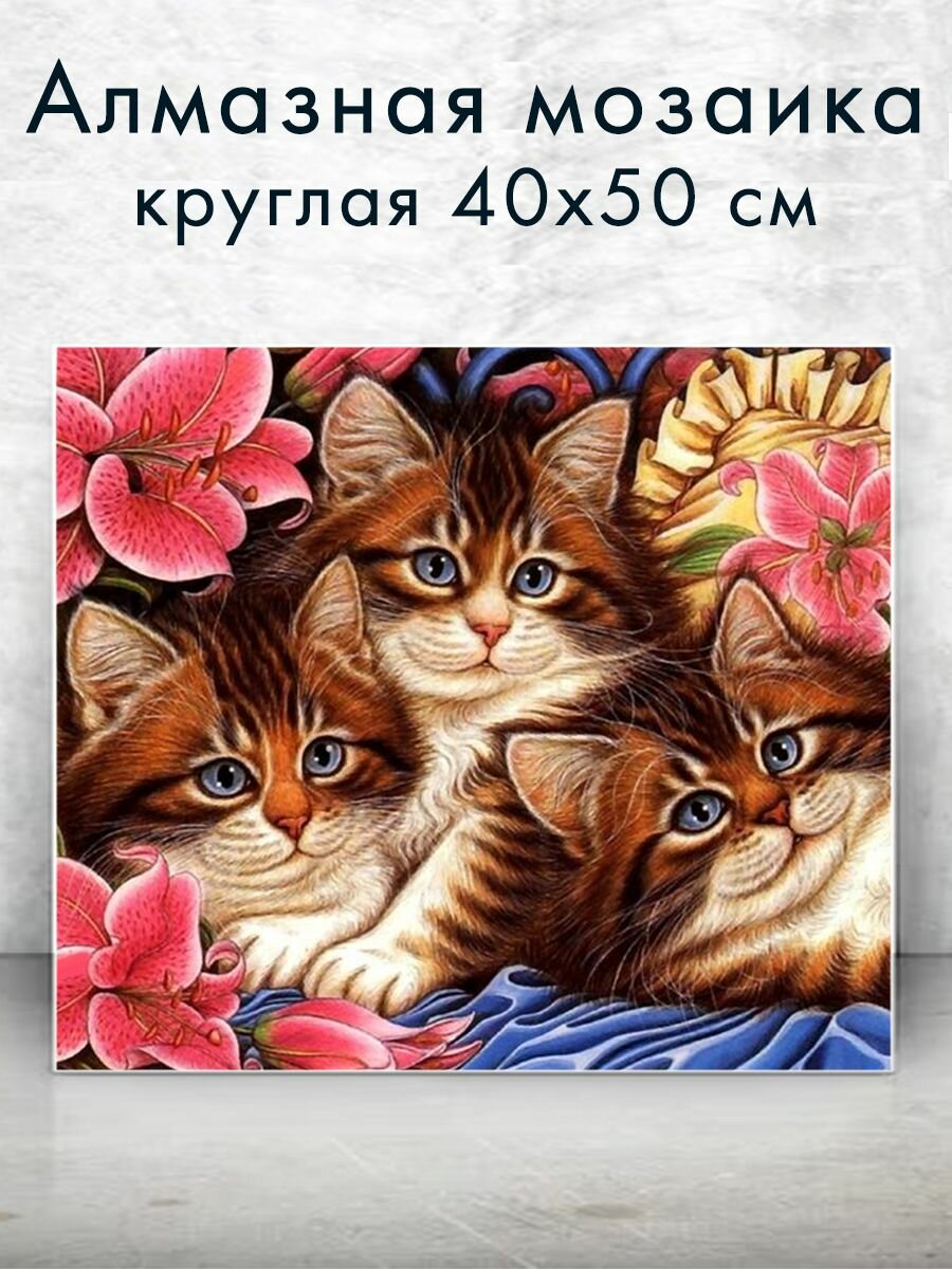 Алмазная мозаика (круглая) Милые котята 40х50 см