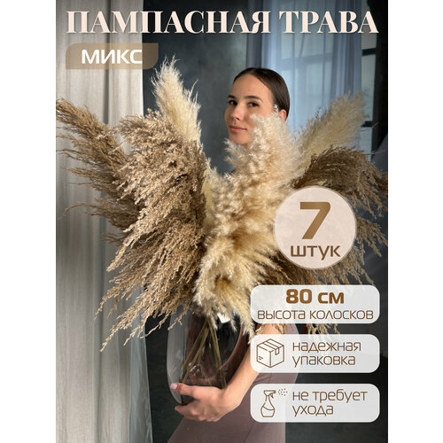 Сухоцветы пампасная трава микс высокая