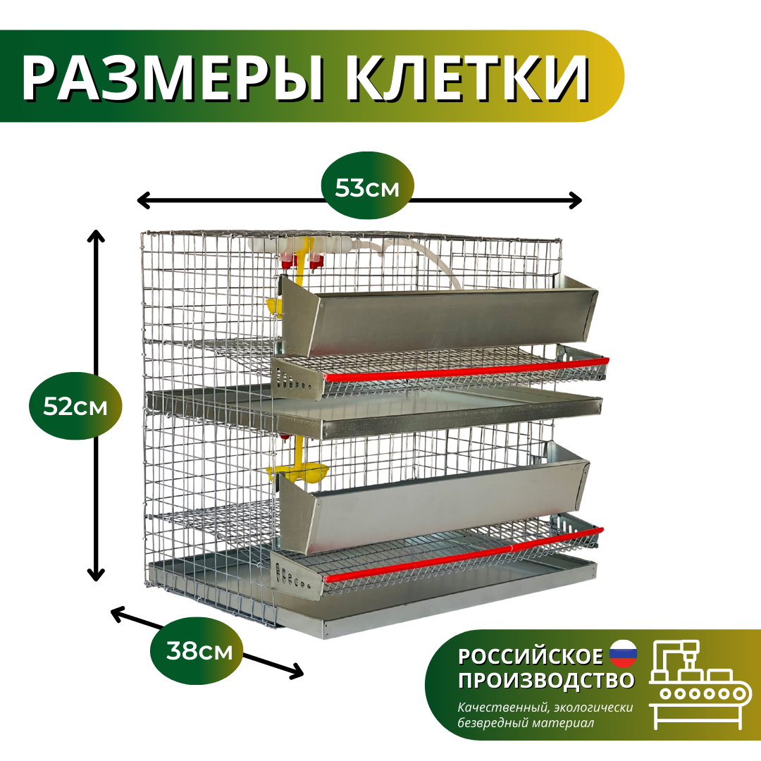 Клетка для перепелов на 30 голов, 2 яруса, Сельский дворик - фотография № 2