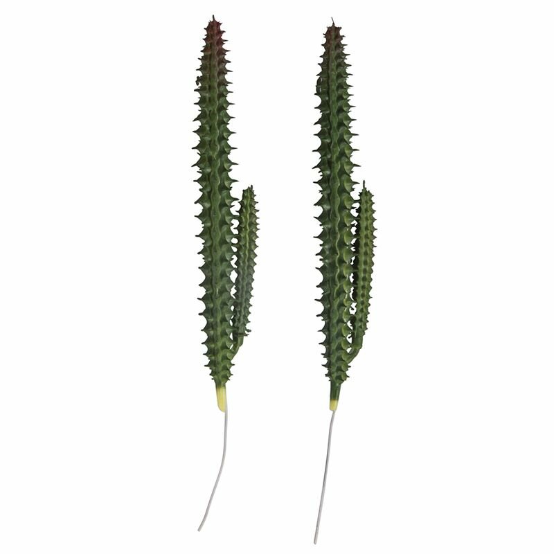 Декоративные растения Rayher "Столбчатый кактус" зеленые 2 шт