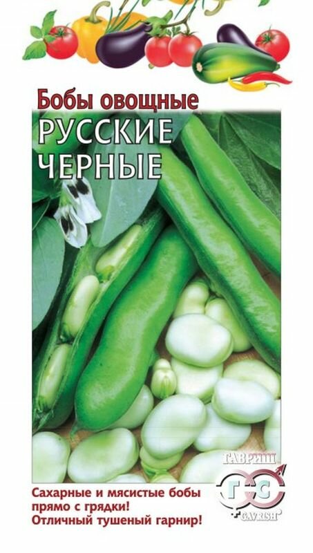 Семена Бобы Русские черные (гавриш) 10шт Традиция