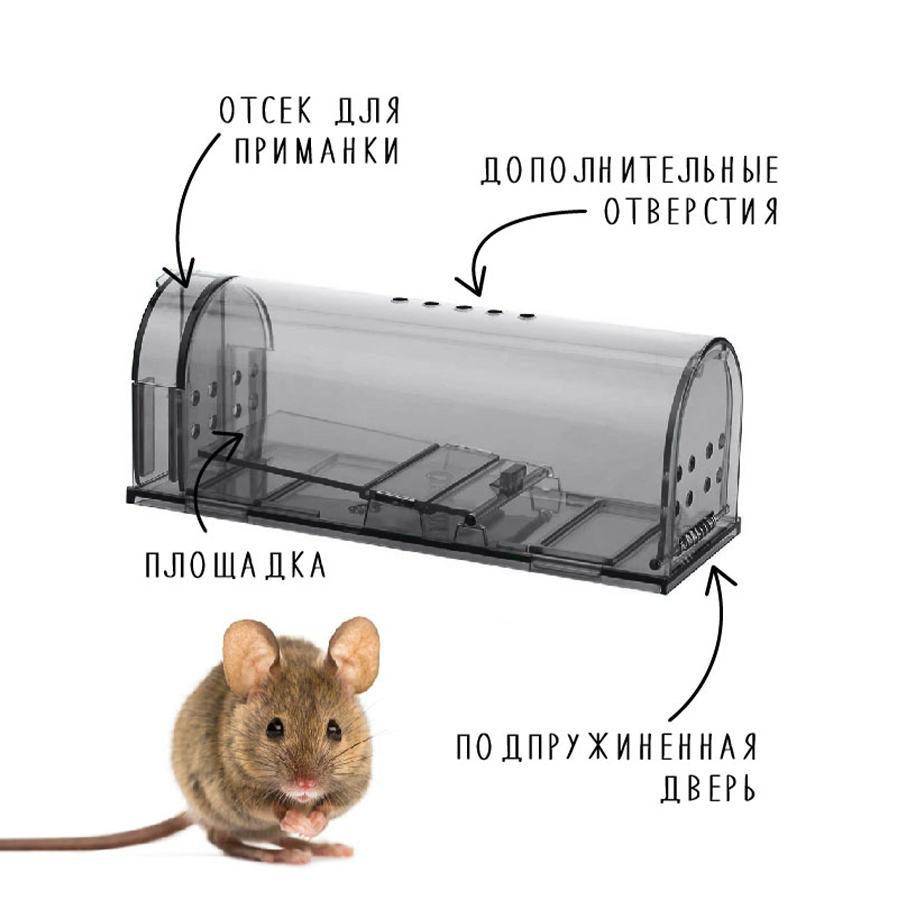 Мышеловка гуманная, живоловка для дома и дачи, (ловушка для мышей и кротов), комплект из 2 штук, серая - фотография № 2