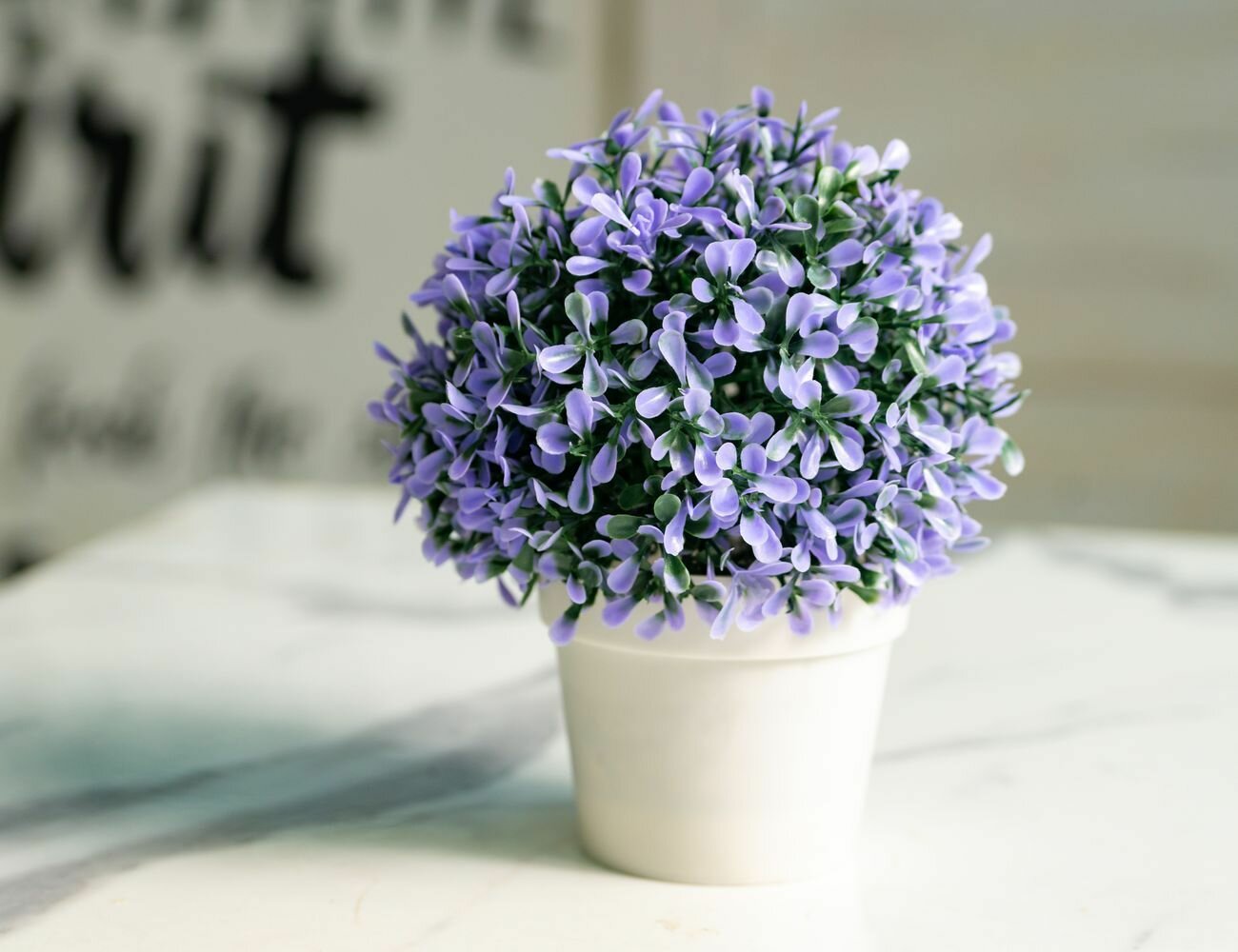 фото Искусственное растение в горшке олерацеа БЛЮ, 20 см, Koopman International 317002500-2