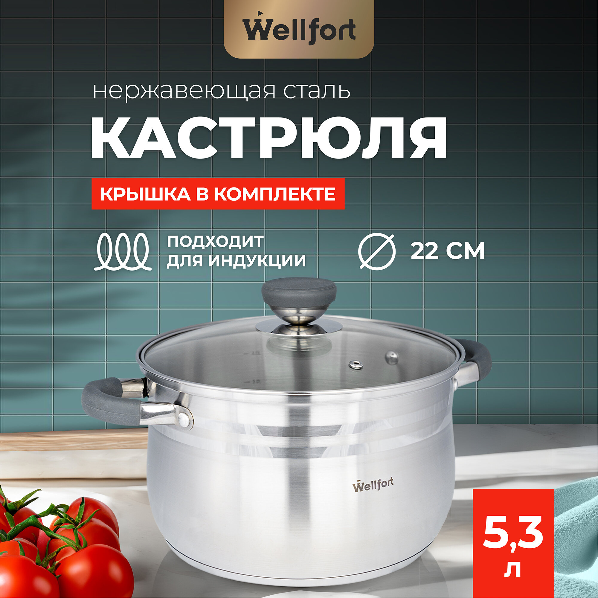 Кастрюля из нержавеющей стали "Harmony Wellfort" объемом 29 литра