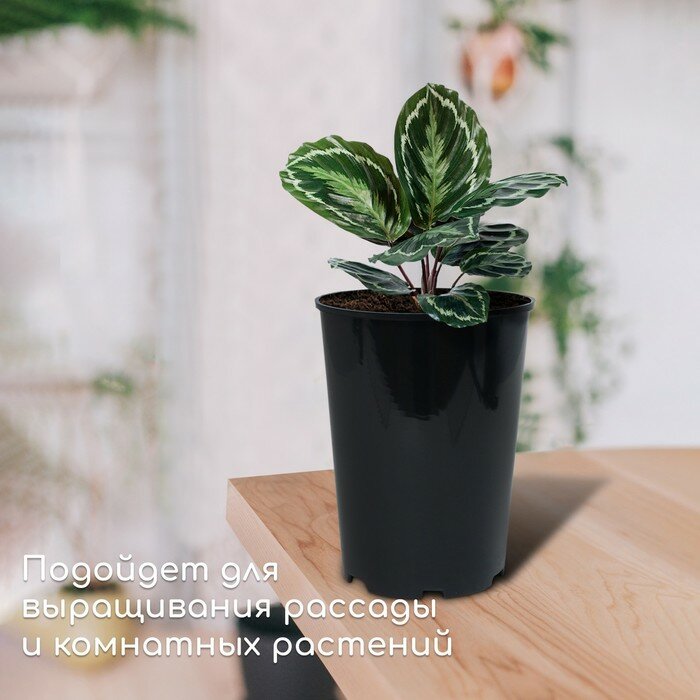 Горшок для рассады, 2 л, d = 14 см, h = 18 см, чёрный, Greengo