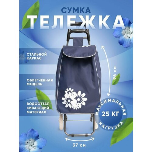 Сумка-тележка , 32х96, ручная кладь, красный