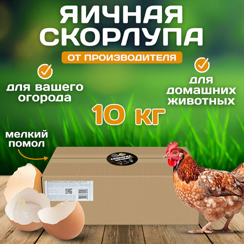 Скорлупа сухая яичная 10 кг