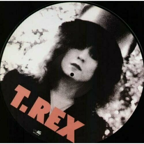 Виниловая пластинка T. Rex - The Slider - Picture Vinyl