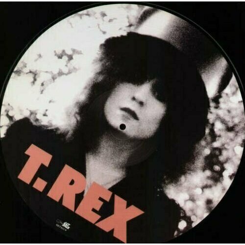 Виниловая пластинка T. Rex - The Slider - Picture Vinyl t rex the slider picture vinyl