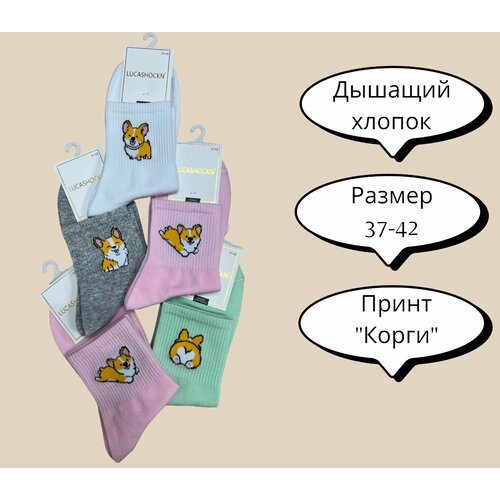 фото Носки lucashockn, 5 пар, размер 37-42, бирюзовый, серый, черный, розовый, белый