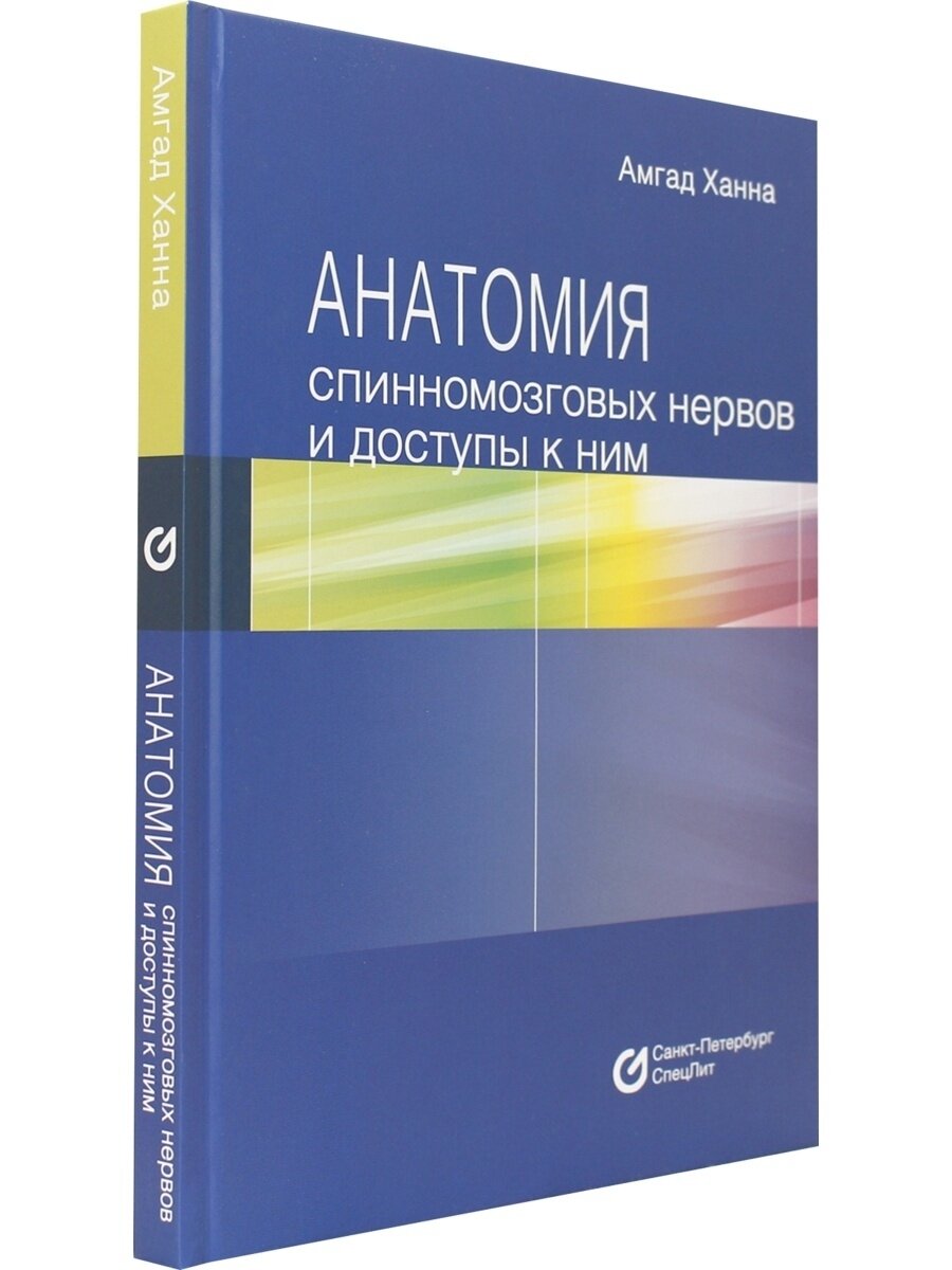 Анатомия спинномозговых нервов и доступы к ним - фото №17