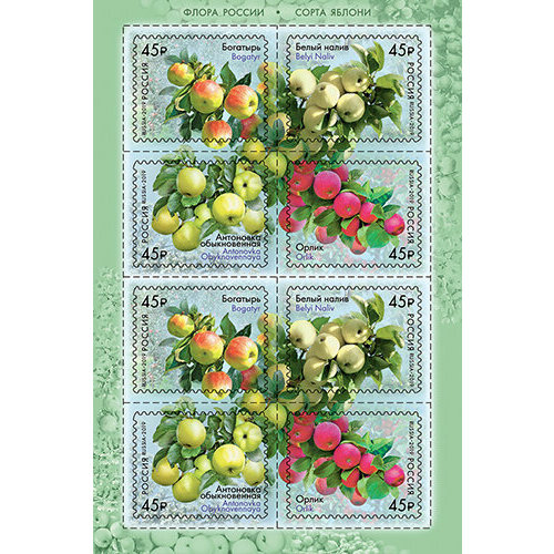 Почтовые марки Россия 2019г. Сорта яблони Фрукты MNH