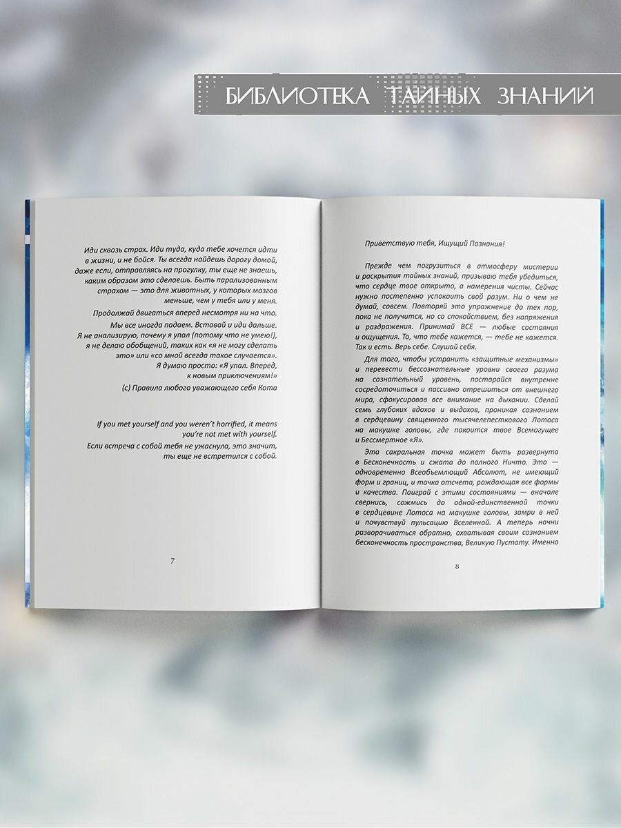 Алиса Гордеева: Врата Силы, или Выход за пределы