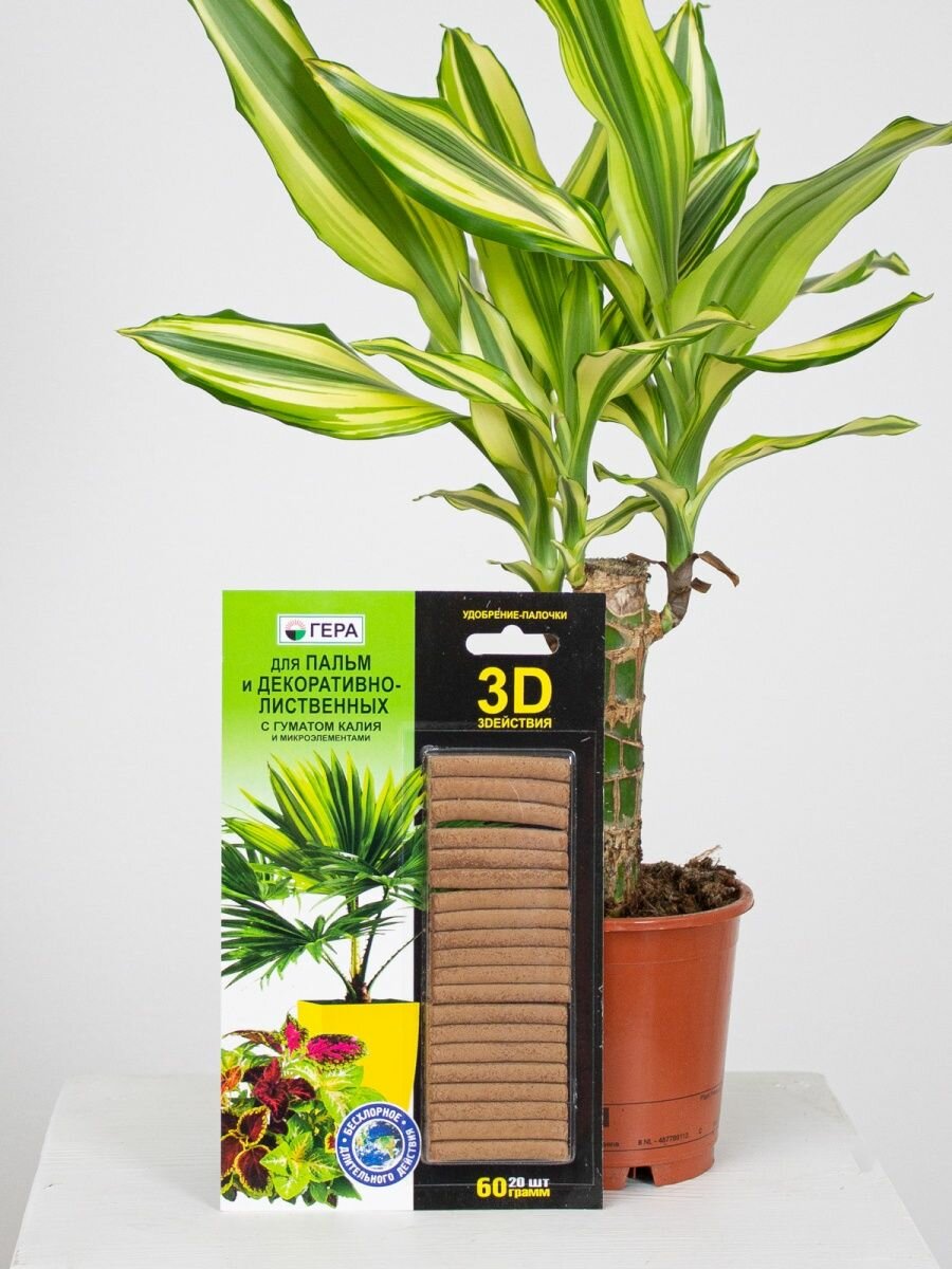 Удобрение-палочки гера 3D для Пальм и декоративно-лиственных 60г - фотография № 7