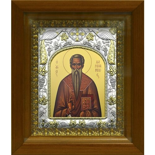 Икона харалампий (Харлампий) Магнезийский, Священномученик