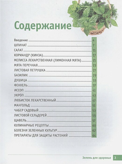 Самая полезная зелень для здоровья от Октябрины Ганичкиной - фото №4