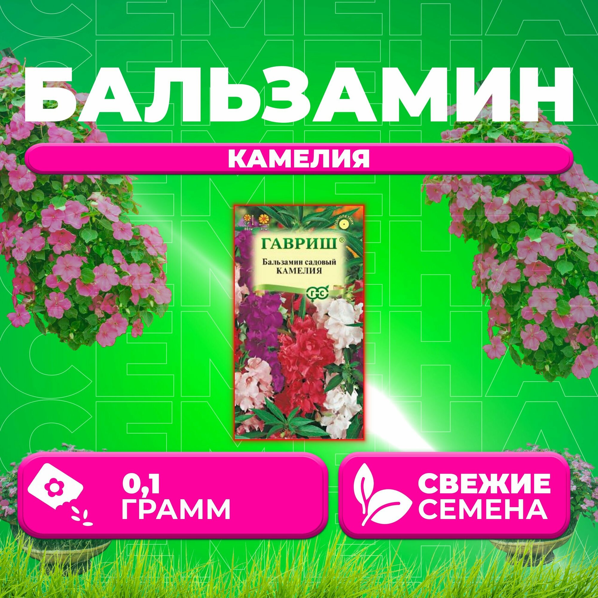 Бальзамин садовый Камелия смесь 01г Гавриш Цветочная коллекция (1 уп)