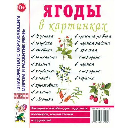 Ягоды в картинках. Наглядное пособие для педагогов, логопедов, воспитателей и родителей