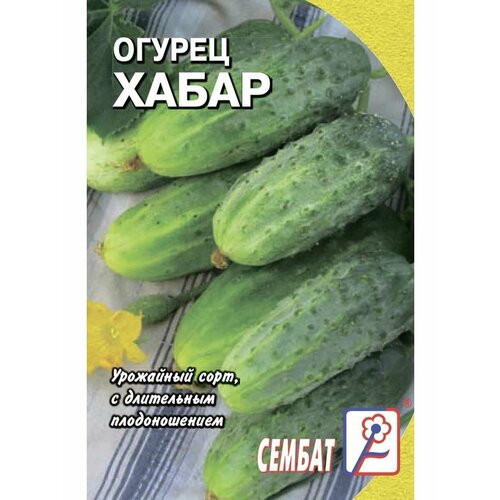 Огурец Хабар