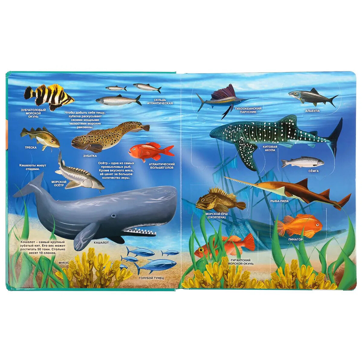 Детская книжка "Тайны подводного мира" с 100 секретными окошками от бренда Умка