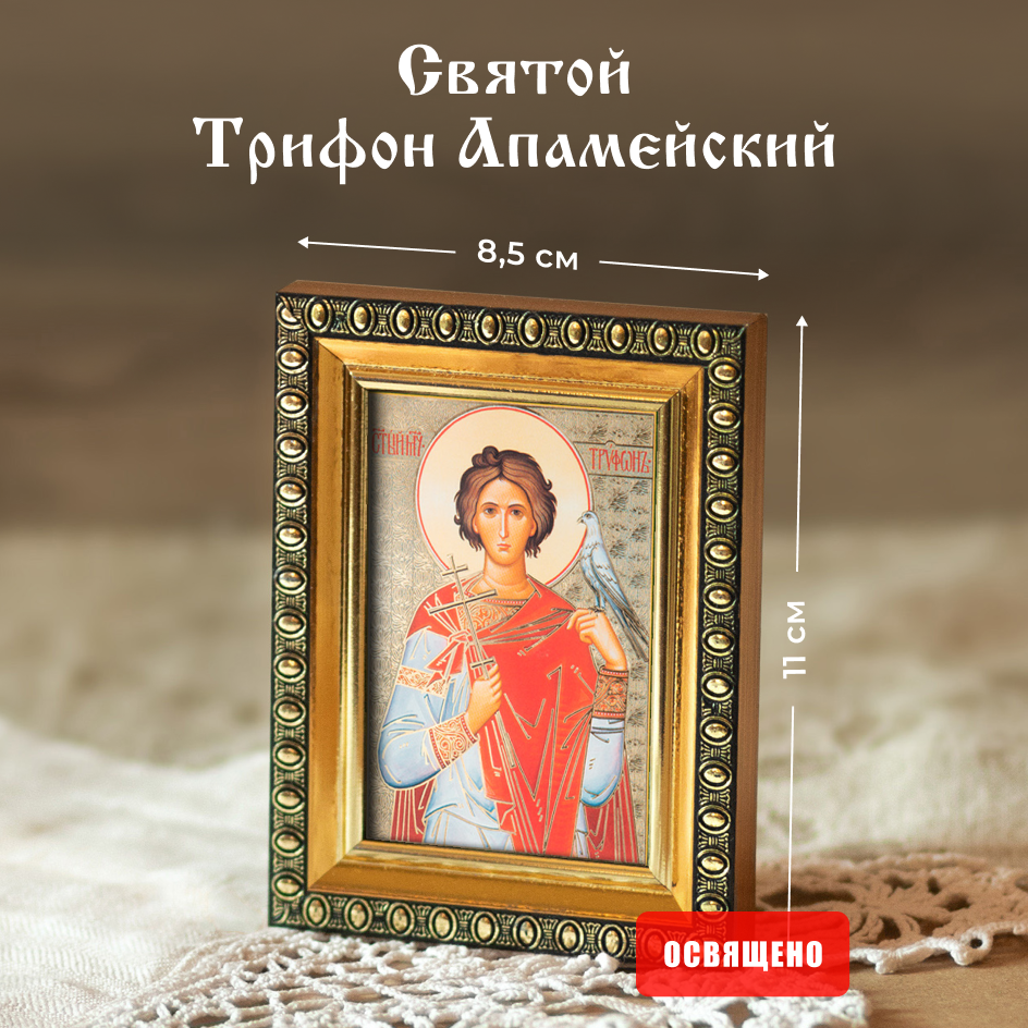 Икона освященная "Святой Трифон Апамейский" в раме 8х11 Духовный Наставник