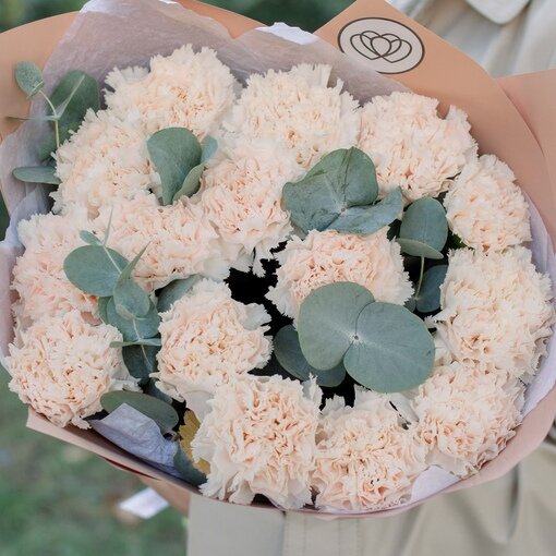 Букет из 15 кремовых гвоздик с эвкалиптом