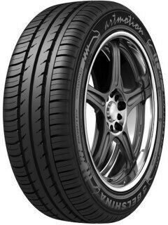 Белшина Бел-261 Artmotion 195/65R15 91H