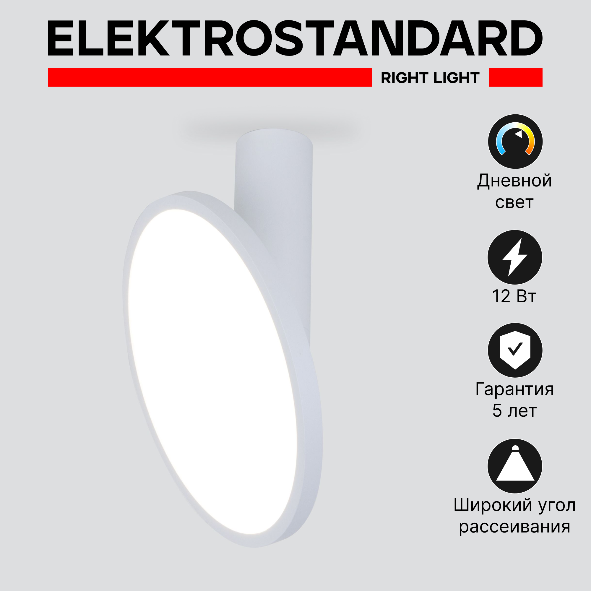 Накладной светодиодный светильник Elektrostandard DLS029 12W 4200K белый матовый