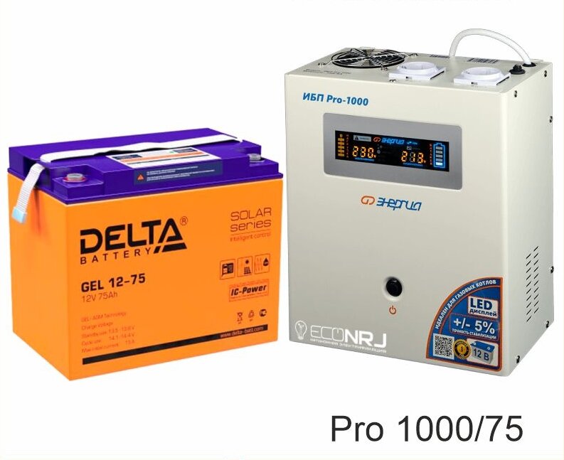 Энергия PRO-1000 + Аккумуляторная батарея Delta GEL 12-75