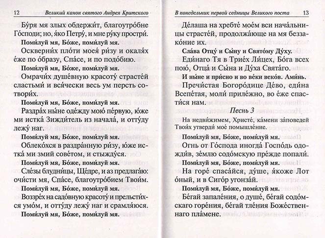 Избранные службы Великого Поста. Великий канон Андрея Критского. Мариино стояние - фото №13