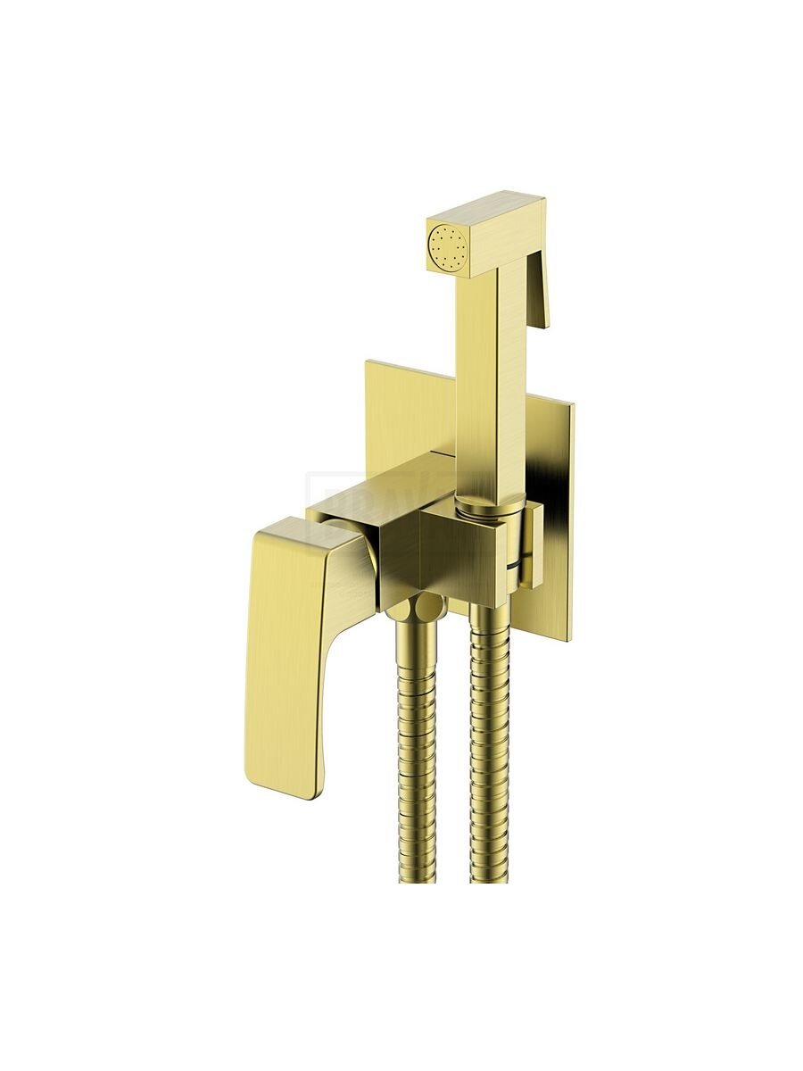 Смеситель с гигиеническим душем встраиваемый Raglo R01.52.03, латунь, сатин золотой