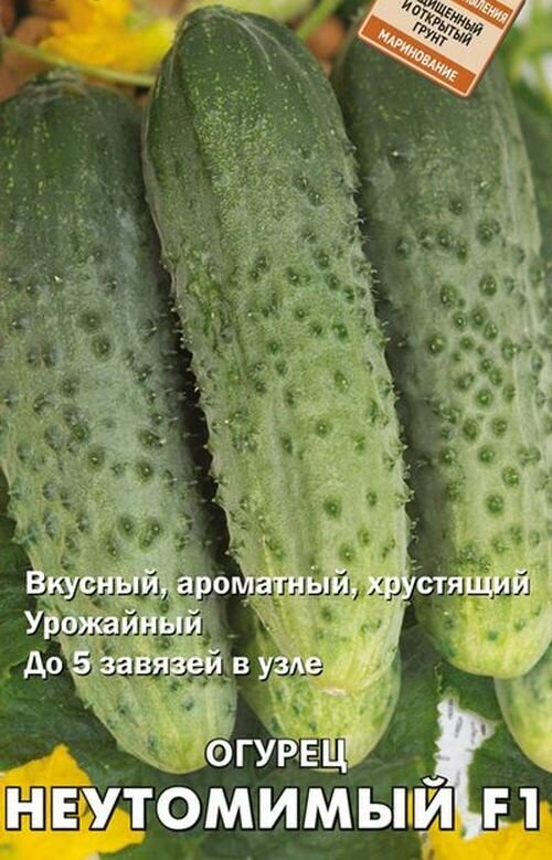 Семена огурца Поиск  Неутомимый   гибридные  однолетние  12 штук