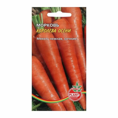 Семена Морковь Королева осени, 800 шт, 3 упак. семена морковь королева осени 800 шт 4 упак