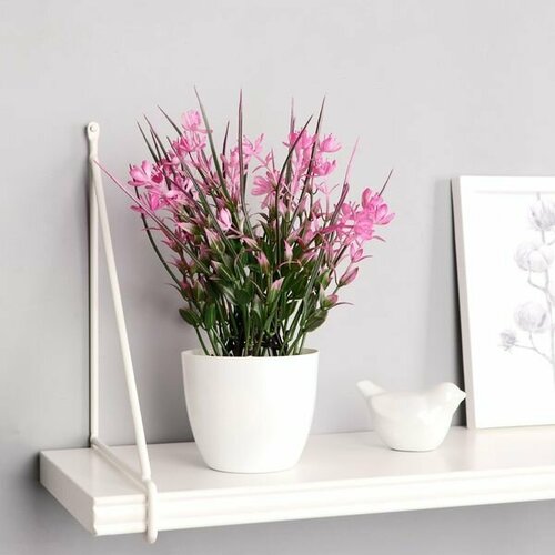 Цветы в горшке Цветник с осокой 9х23см 895₽