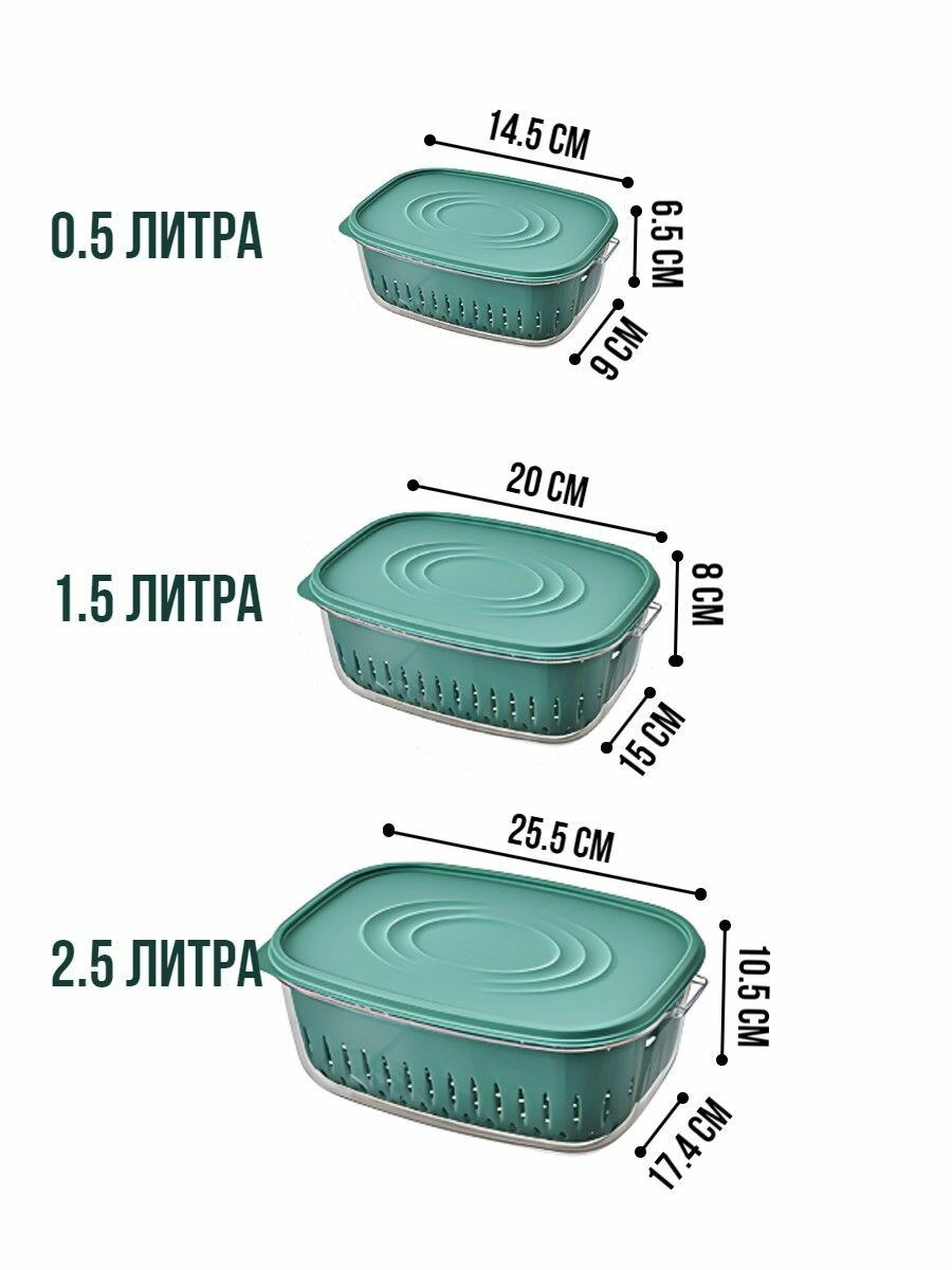 фото Контейнер для хранения и мытья овощей и фруктов зеленый