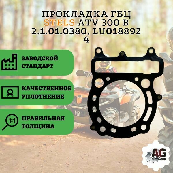 Прокладка ГБЦ STELS ATV 300 B 2.1.01.0380 LU018892